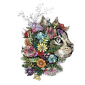 Flower Cat