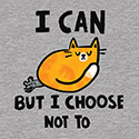 I Can – But I Choose Not To