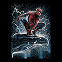 The Spider Over the City