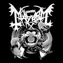 Animal Mayhem