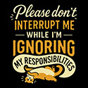Don’t Interrupt Me