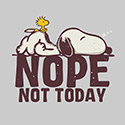NOPE. NOT TODAY