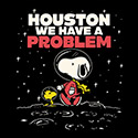 Houston we have a problem