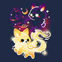 Night and Day Foxes