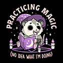 Practicing Magic