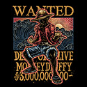 Wanted in the High Seas
