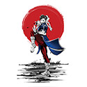 Chinese Martial Arts Fighter