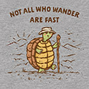 Not All Who Wander Are Fast