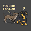 You Look Familiar