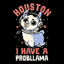 Houston I Have a Probllama