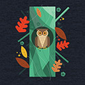 Owl In Autumn