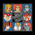 The ThunderCats Bunch