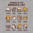Cat Hobbies