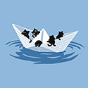 Cat Paper Boat