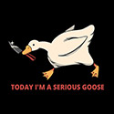 Serious Goose Violence