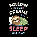 Follow Your Dreams, Sleep All Day