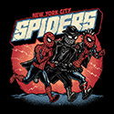 New York City Spiders