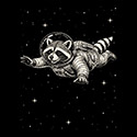 Astronaut Raccoon