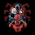 Spiders