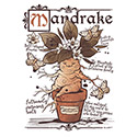 Cute Mandrake Root