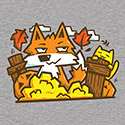 Fox in Fall Season