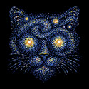 Starry Kitty