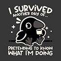 Pretending To Know What I’m Doing