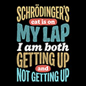 Schrödinger’s Lap
