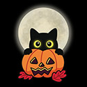 Spooky Feline